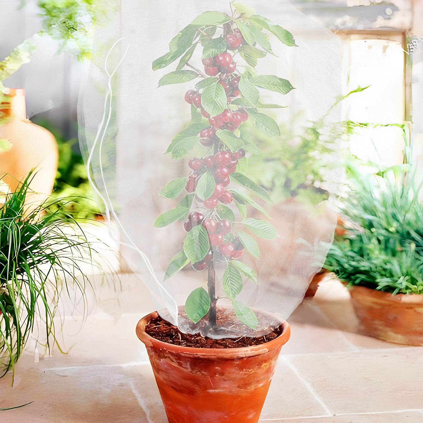 Mesh Net Bag - 8 stuks fijnmazige plantenbeschermingszakken, vogelnet voor