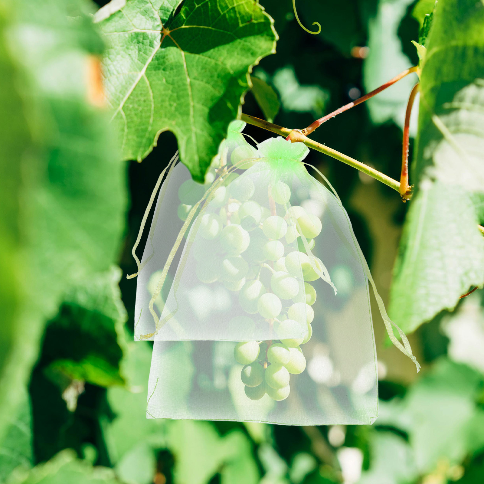 30 stuks fruitnetzakken met tr - Mesh Net Bag recensie en prijs