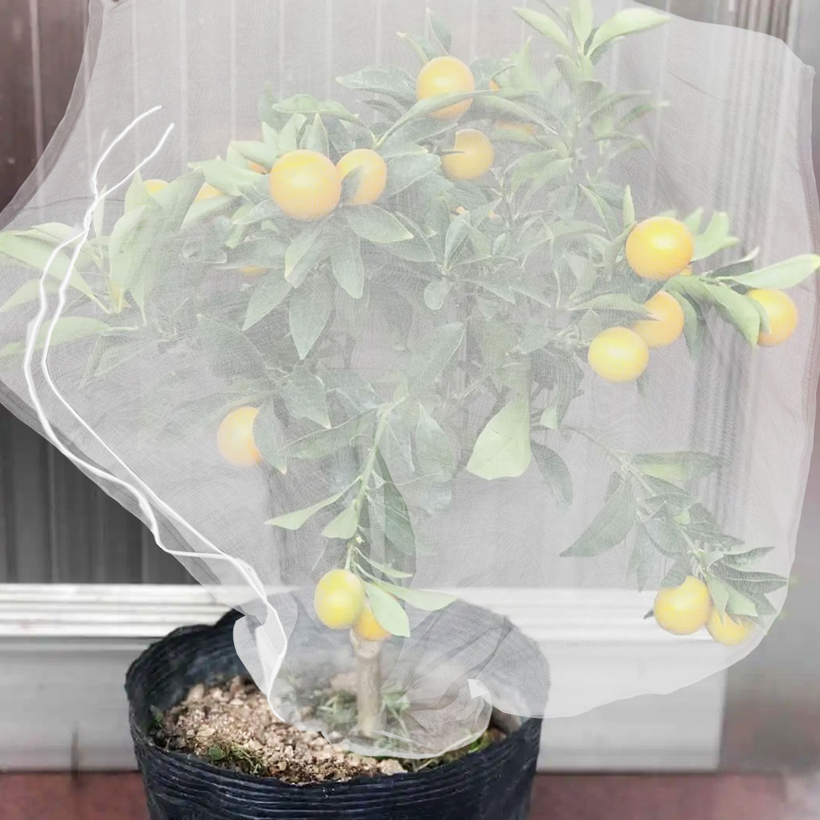 8 stuks fijnmazige plantenbesc - Mesh Net Bag recensie en prijs